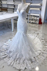 Wedding Dress Colored, Luxury V Neck Lace Tulle Mermaid Wedding Dresses with Appliques