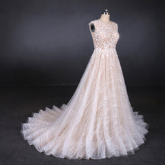 Wedding Dress Shops, Gorgeous Long Backless Wedding Dresses Ivory Lace Wedding Gowns