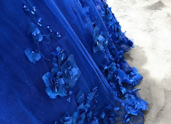 Party Dresses Summer Dresses, Royal Blue Quinceanera Dress Ball Gown With Appliques Flowers Princess Sweet 16 Dresses