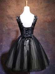 Evening Dress Wholesale, Adorable Black V-neckline Lace and Tulle Party Dress, Short Prom Dress