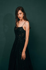 Party Dress For Night, A-line Lace Appliques Long Prom Dresses