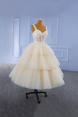 Evening Dresses Elegant Classy, Champagne Tulle Short Prom Dress with Beaded, A-Line Tea Length Party Dress