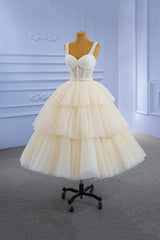 Evening Dress Lace, Champagne Tulle Short Prom Dress with Beaded, A-Line Tea Length Party Dress