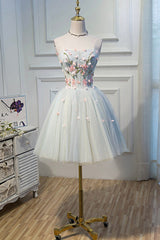 Prom Dress Glitter, Cute Tulle Short Prom Dress with Lace, A-Line Homecoming Party Dress