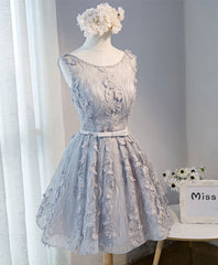 Evening Dresses Princess, Gray Round Neck Lace Short Prom Dress, Cute Lace Homecoming Dress