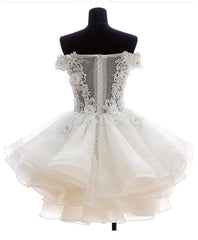 Evening Dress Formal, Mini Tulle Lace Short Prom Dress, Lace Cute Homecoming Dress