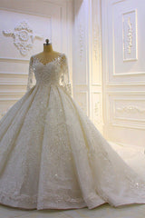 Wedding Dresses Websites, Sparkle 3D Lace Appliques Long Sleevess Church Train Wedding Dress